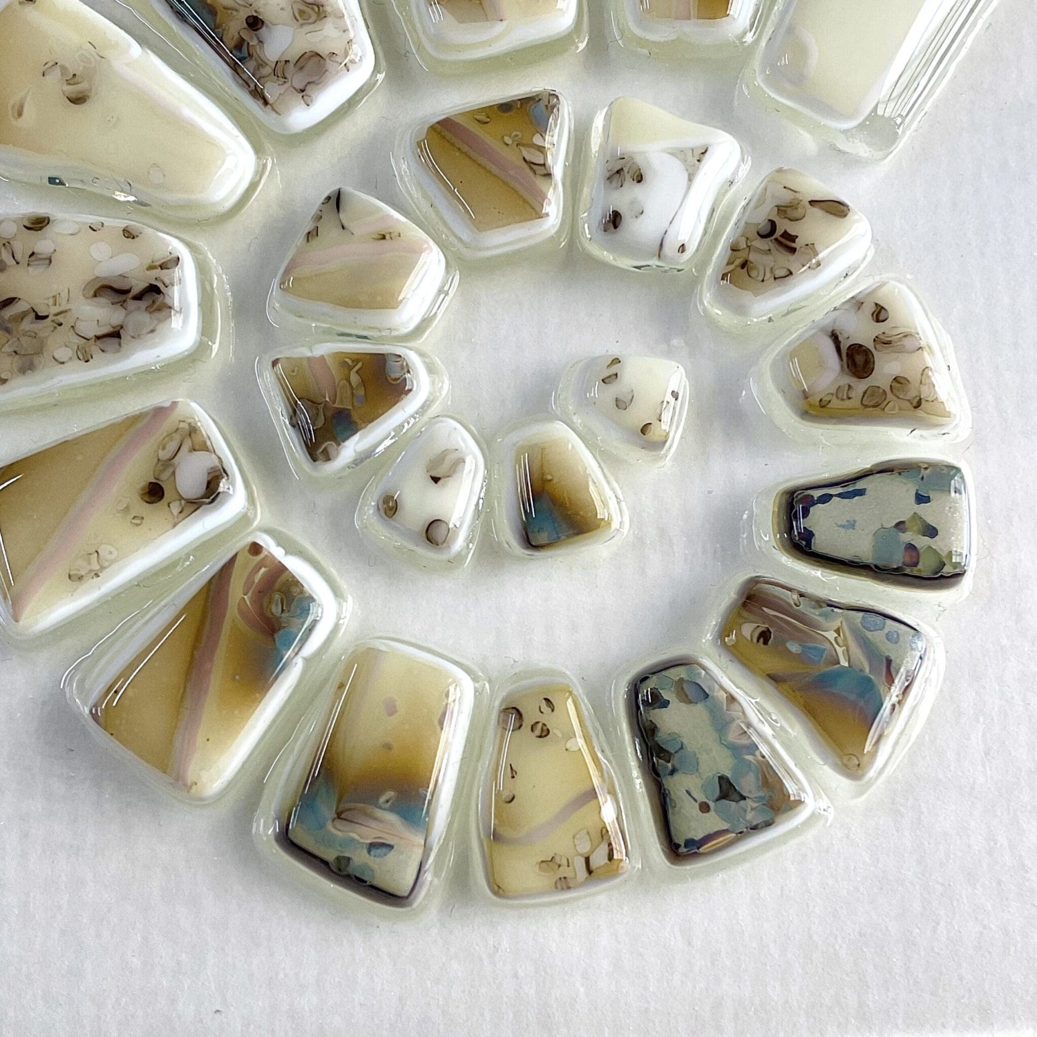 Ammonite - Image 2