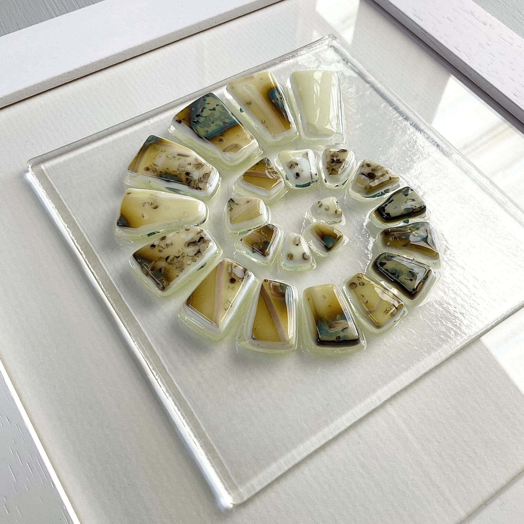 Ammonite - Image 6