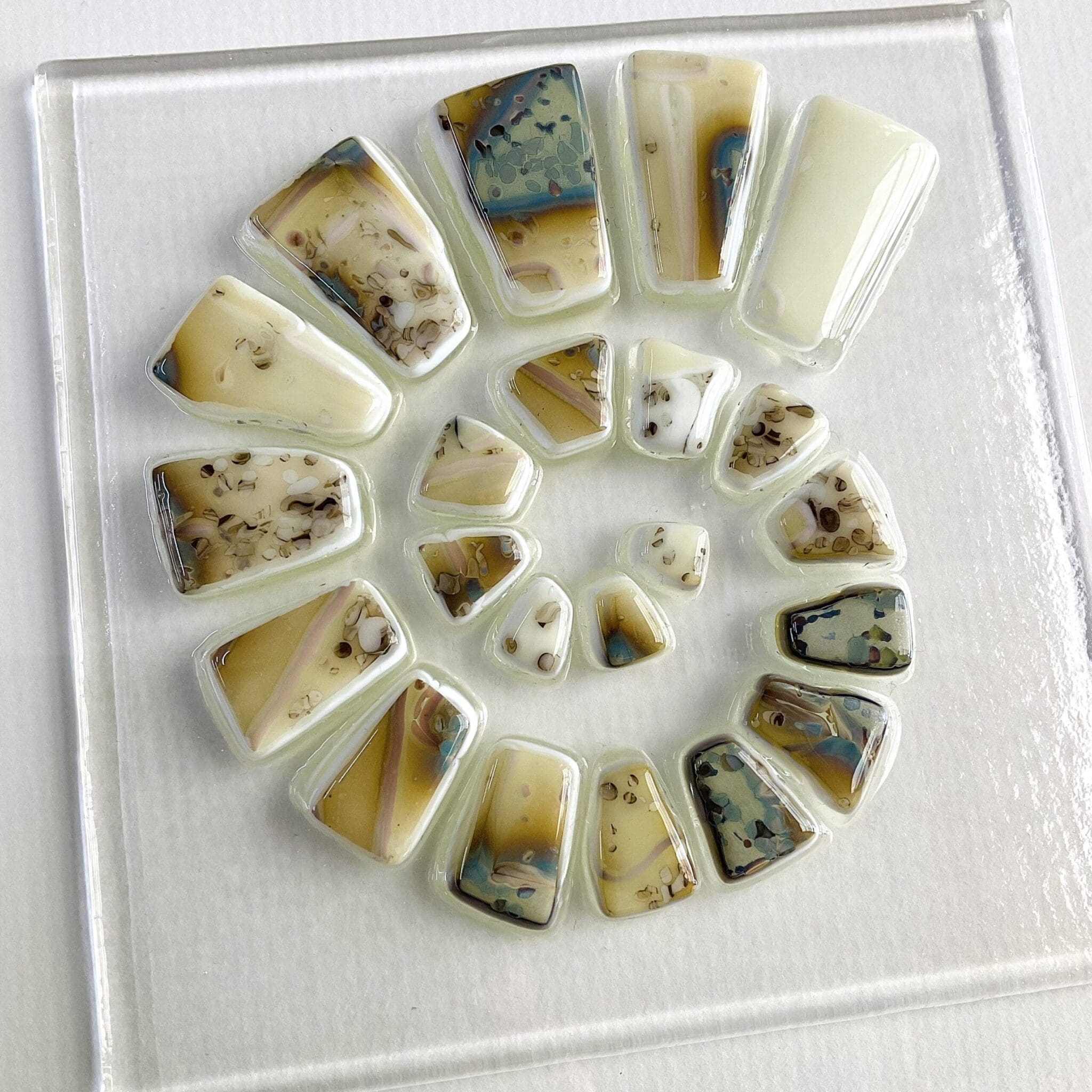 Ammonite - Image 3