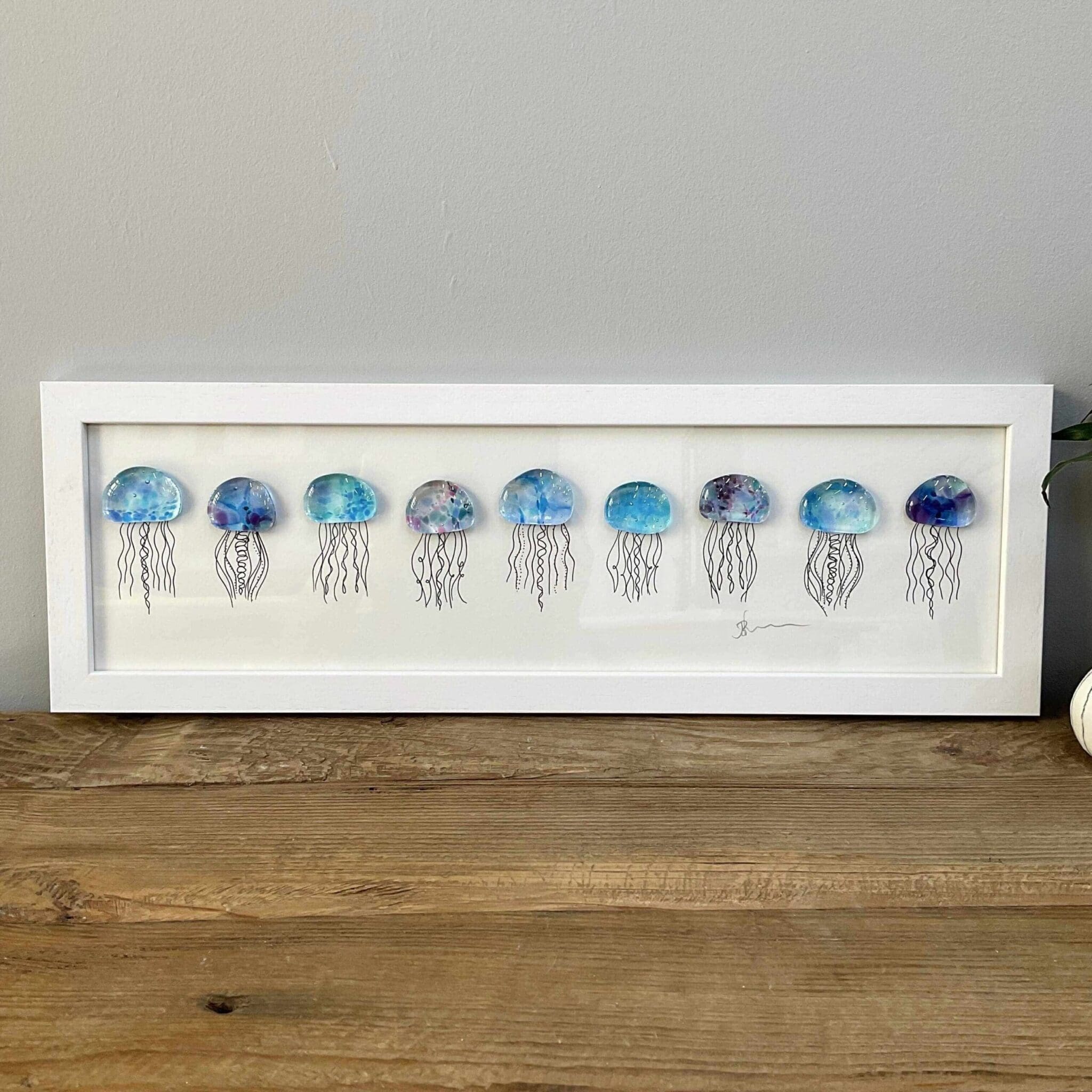 Jellies - Image 8