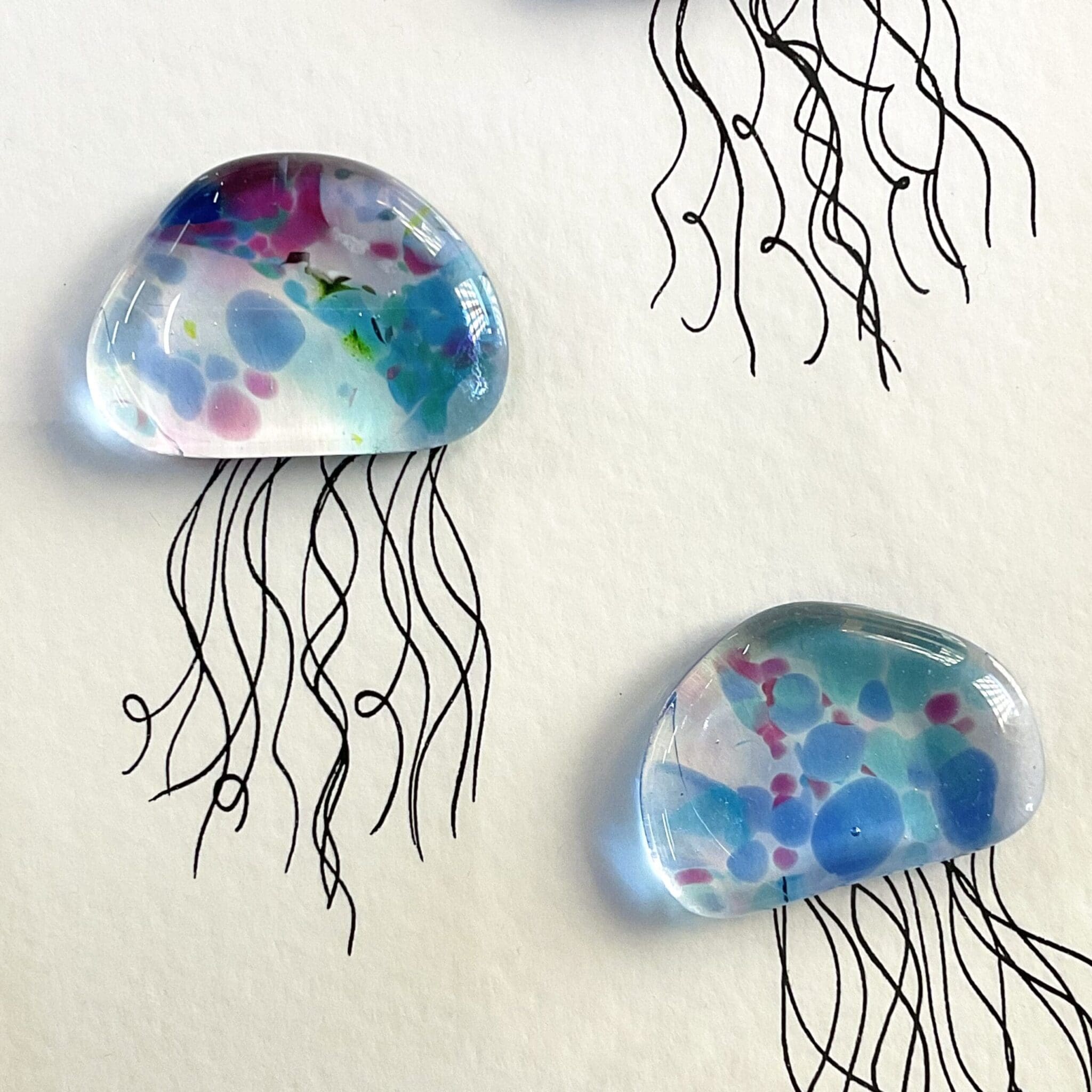 Portrait Jellies - Image 4