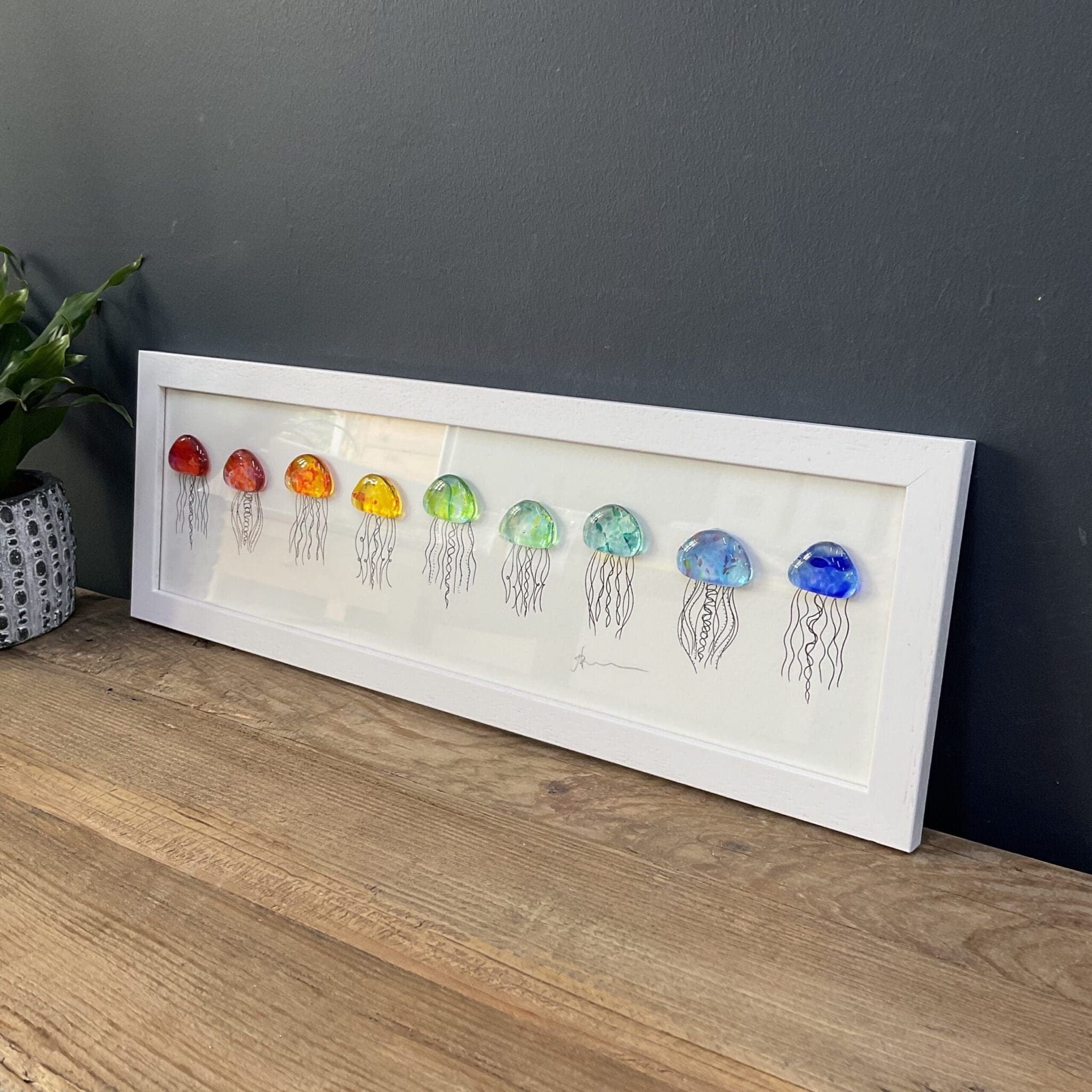 Jellies - Image 3