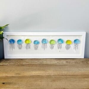 Framed fused glass jellyfish with framing glass, multi coloured