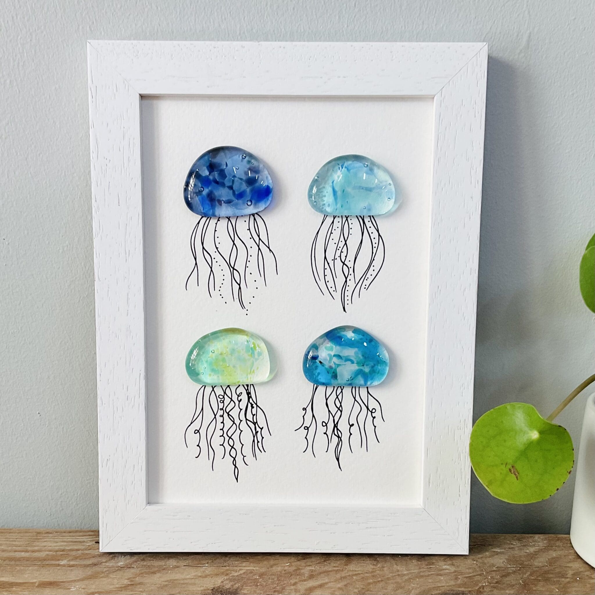 Jellies - Image 9