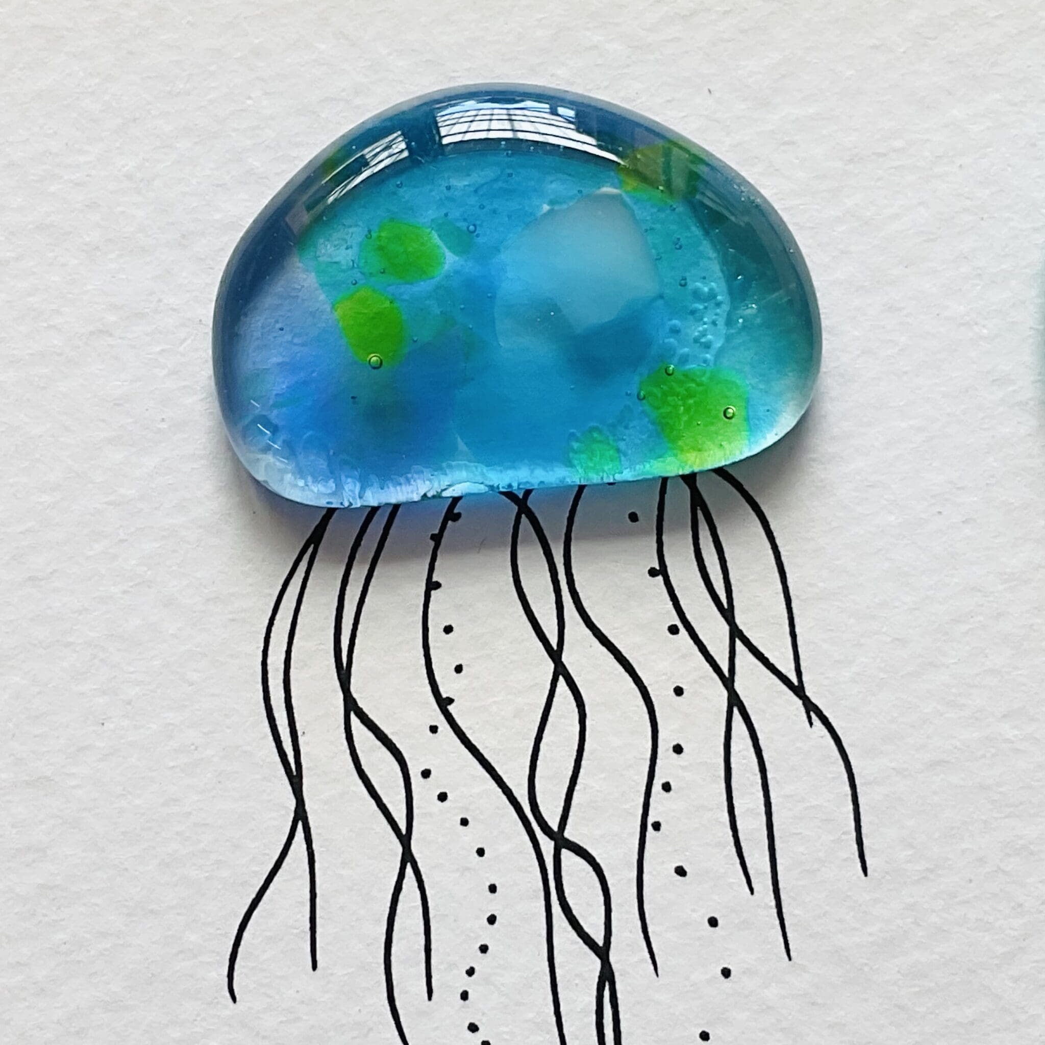 Jellies - Image 5