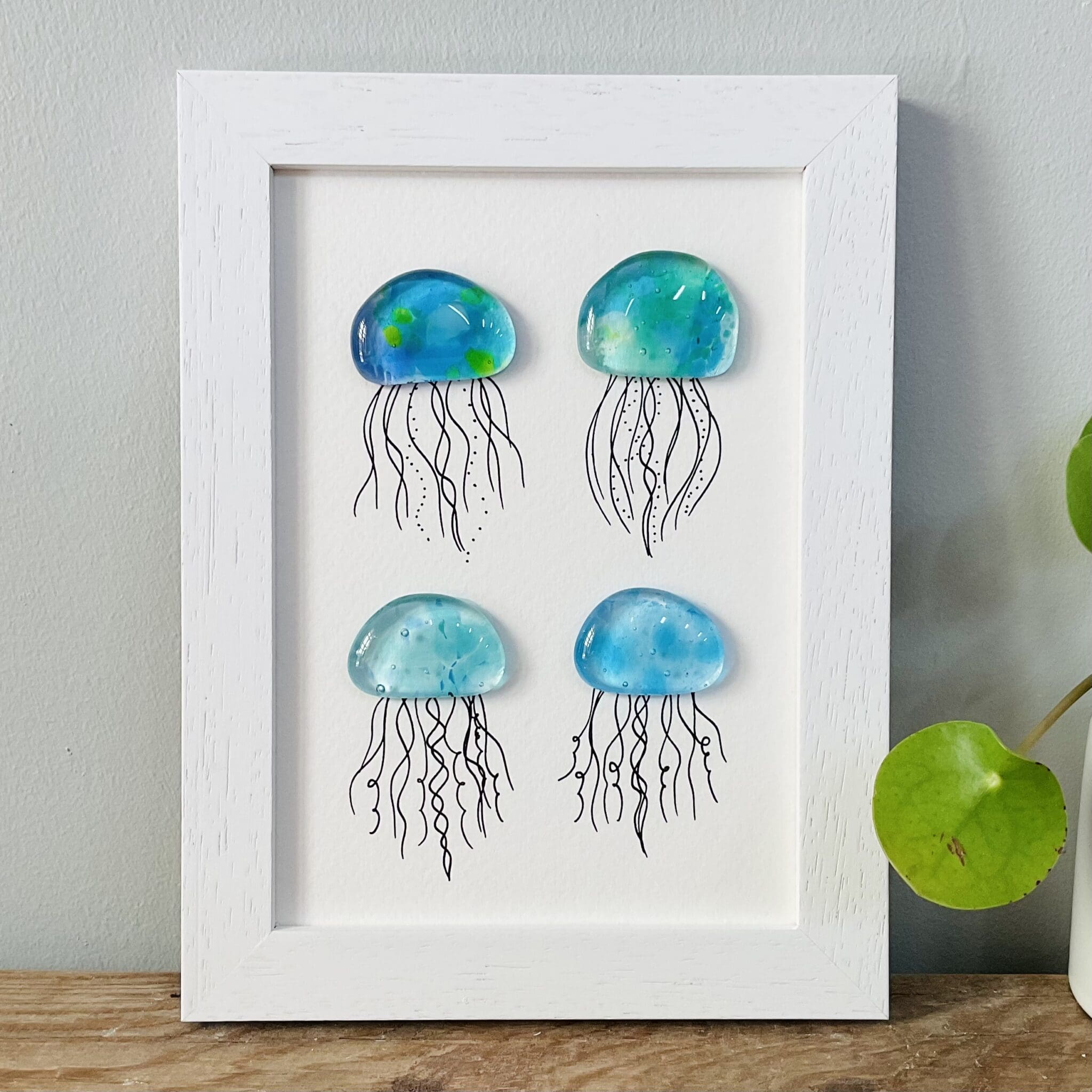 Jellies - Image 6