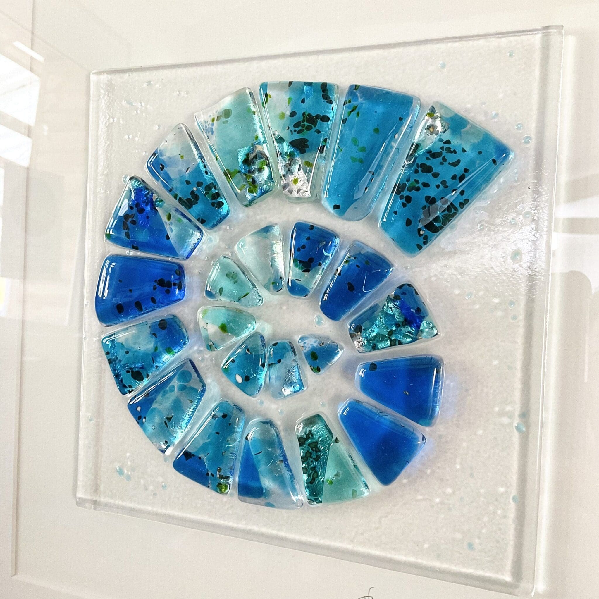 Ammonite - Image 6