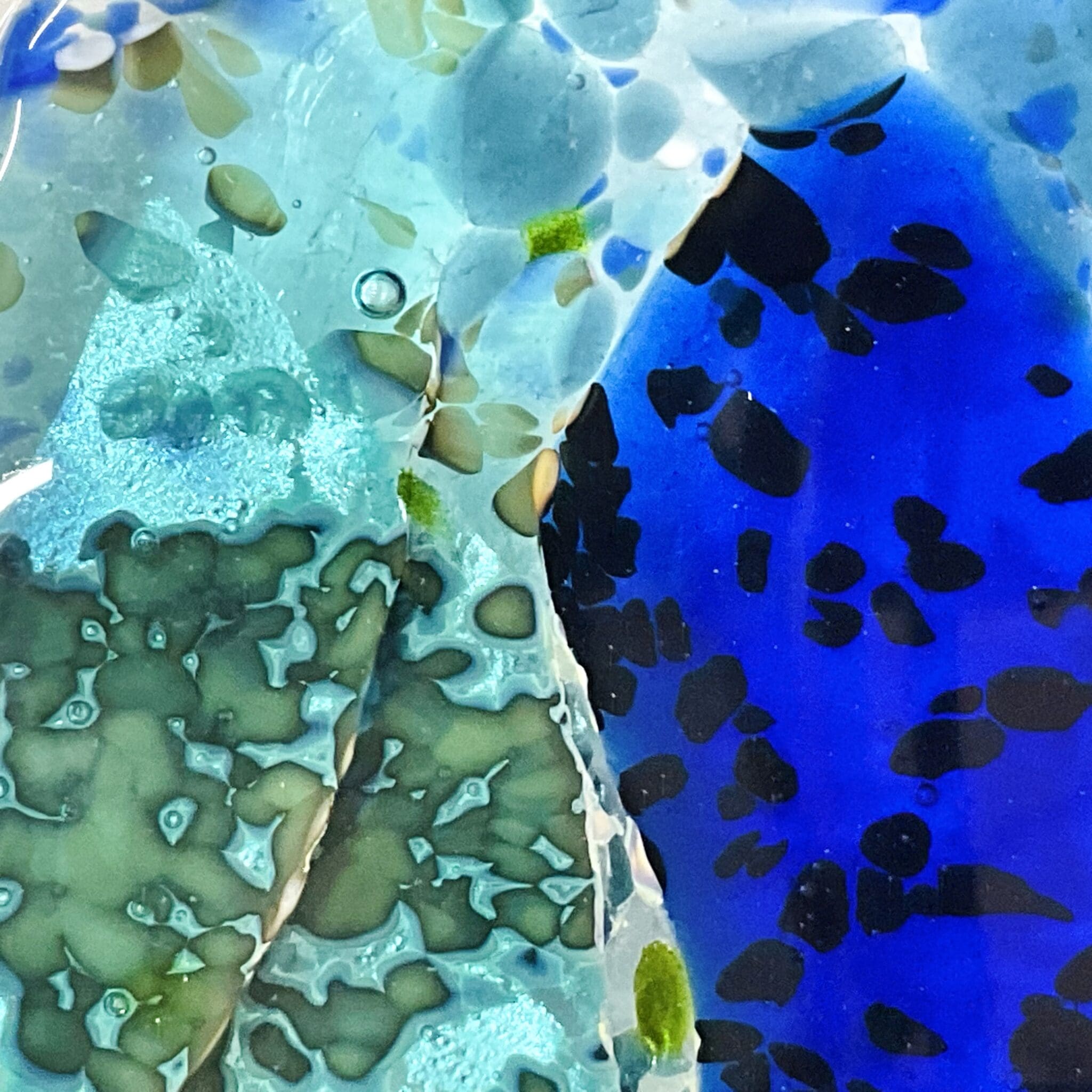 Jellyfish - Image 5